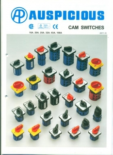 CAM SWITCHES-E